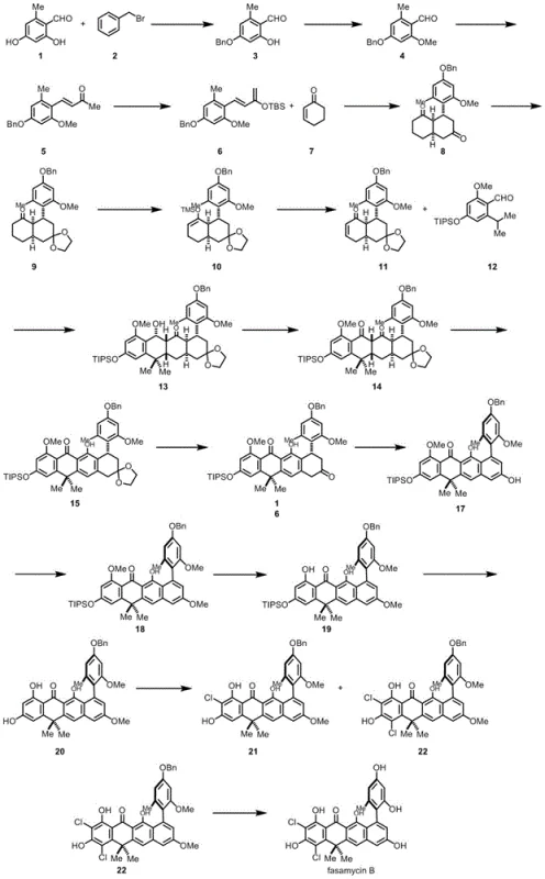 Synthesis route for Fasamycin B showing key intermediates and transformations