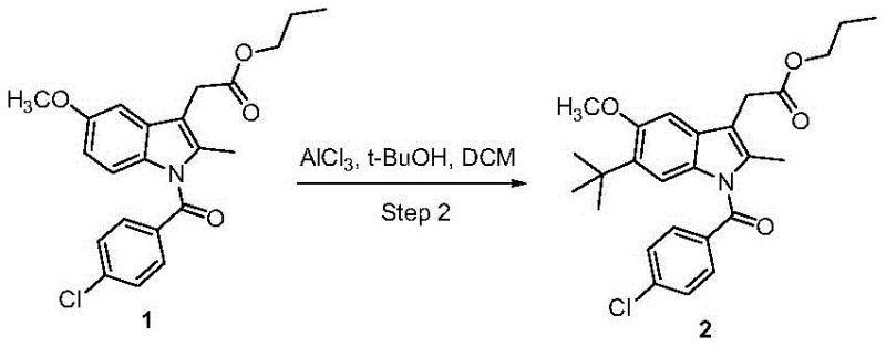 Reaction scheme showing the key Friedel-Crafts alkylation step introducing the tert-butyl group