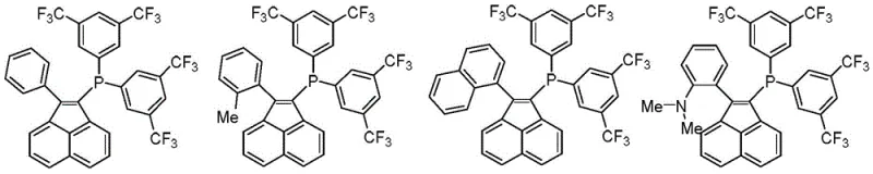 Structural diversity of novel acenaphthyl phosphine ligands