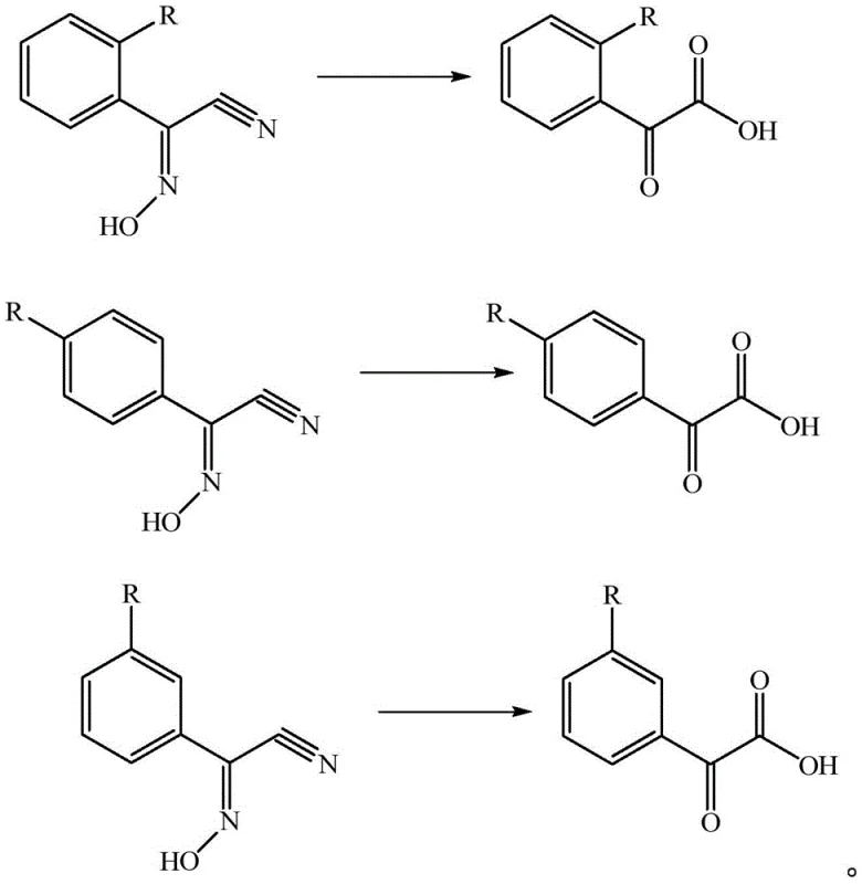 Reaction scope showing successful hydrolysis for ortho, meta, and para substituted benzyl acetonitrile oximes to their corresponding acetophenone acids