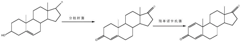 Reaction scheme showing the two-step microbial transformation of phytosterol to ADD via 4-AD intermediate