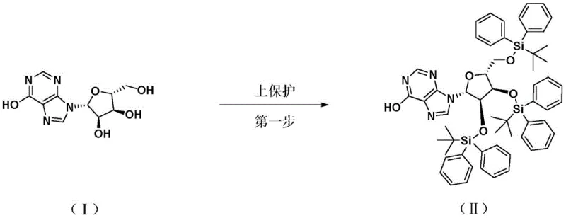 Step 1 reaction mechanism showing Zinc-catalyzed protection of Inosine
