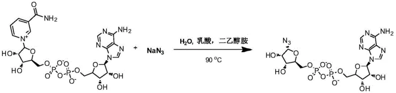 Reaction scheme for the synthesis of alpha-ADPr-N3 from NAD using sodium azide