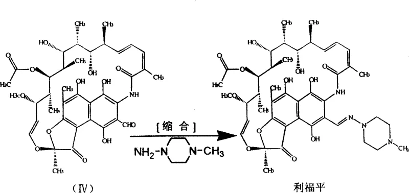 Condensation reaction mechanism showing the role of morpholine and piperazine