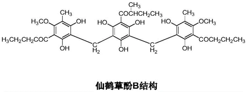 Chemical structure of Agrimonol B showing the complex linkage of phloroglucinol derivatives