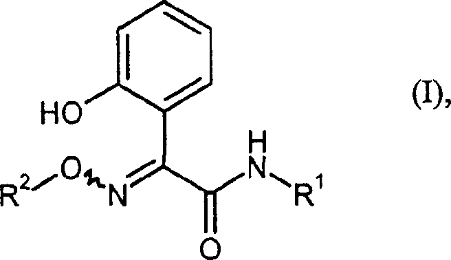 General chemical structure of 2-(hydroxyphenyl)-2-(alkoxyimino)-N-methylacetamide derivatives (Formula I)