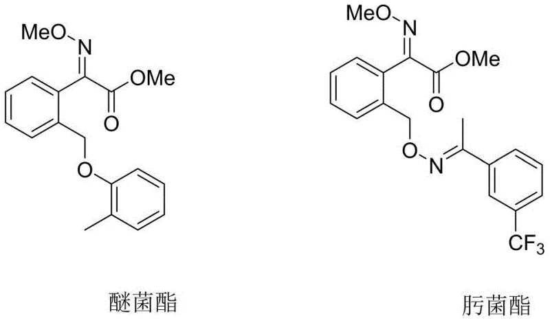 Chemical structures of Kresoxim-methyl and Trifloxystrobin fungicides