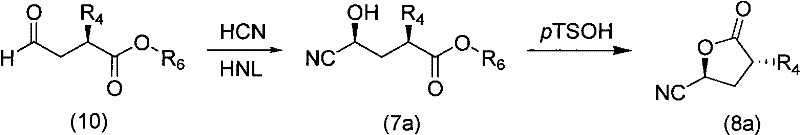 Conversion of chiral aldehyde to lactone nitrile via HNL catalysis and lactonization