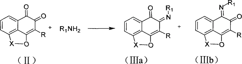 Reaction scheme showing the formation of mono-imine derivatives IIIa and IIIb from Mansonone analogs