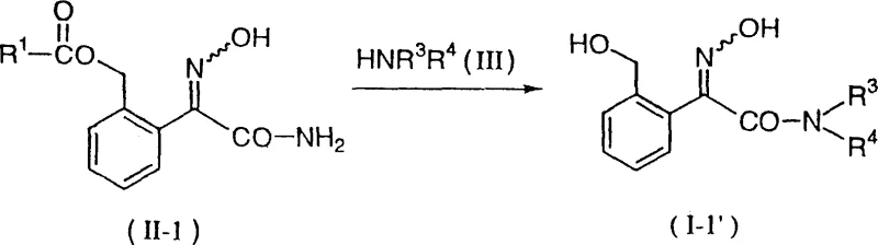 Reaction Scheme 1 showing the transamination of compound II-1 with amine III to form compound I-1'