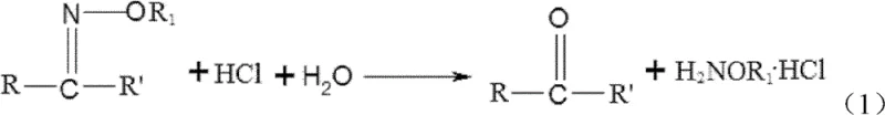 Hydrolysis of ketoxime ether with HCl to form alkoxyl amine hydrochloride and ketone