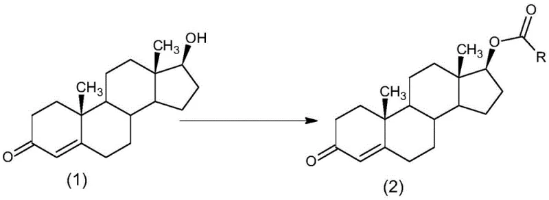 Reaction scheme showing the esterification of 17-beta-hydroxyandrost-4-en-3-one to alkyl acid testosterone using acyl chloride and DMAP catalyst