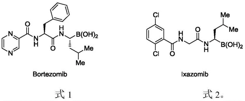 Chemical structures of Bortezomib and Ixazomib showing key boron-containing motifs
