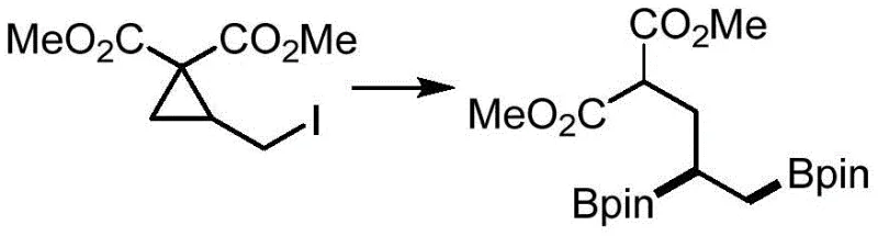 Specific example of double borylation reaction demonstrating substrate scope