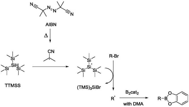 Proposed radical mechanism showing initiation, propagation, and carbon-boron bond formation steps