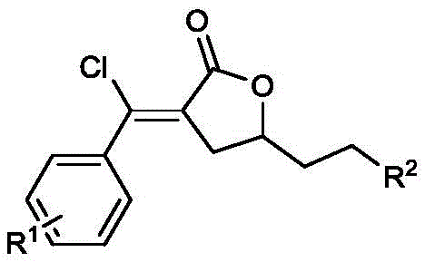 Core chemical structure of alkyl-substituted alpha-methylene-gamma-butyrolactone derivatives showing variable R1 and R2 groups