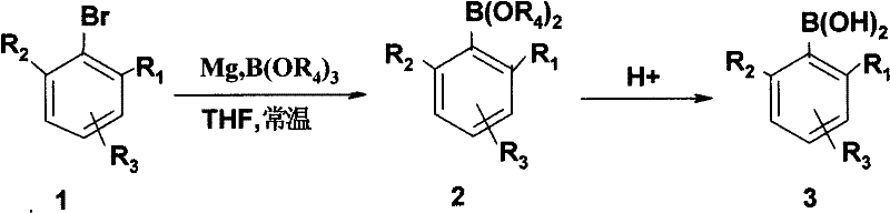Reaction scheme showing the one-pot conversion of alkyl bromobenzene to alkyl phenylboronic acid using Magnesium and Trialkyl Borate