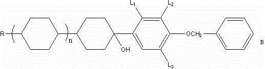 Grignard reaction mechanism showing the formation of benzyloxyphenylmagnesium bromide and subsequent coupling with alkyl dicyclo ketone