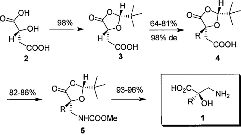 Overall synthetic route from chiral malic acid to alpha-alkyl-isoserine via protection, alkylation, and rearrangement