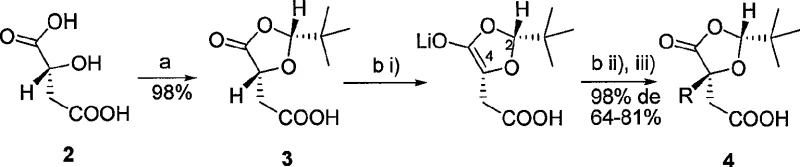 Diastereoselective protection and stereoselective alkylation mechanism using SRS principle