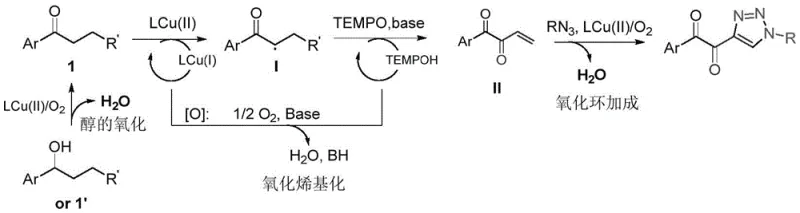 Proposed catalytic mechanism for the oxidative cyclization reaction