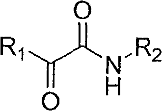 General Formula I of Alpha-Carbonyl Amide Compounds showing R1 and R2 substituents