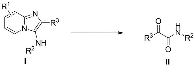 General reaction scheme showing oxidative ring-opening of pyridoimidazole amines to alpha-carbonyl amides