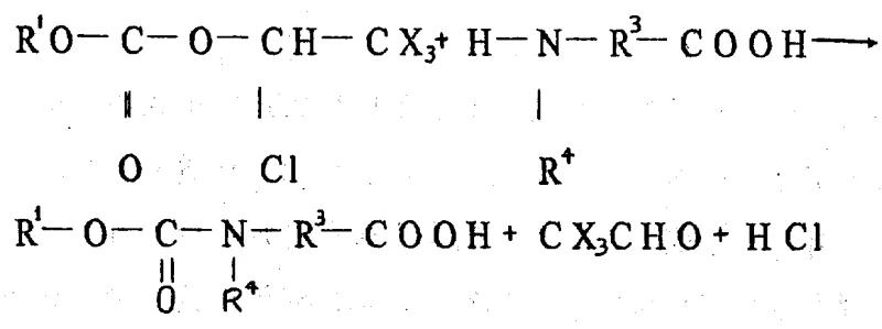 Reaction mechanism showing the protection of amino acids using alpha-chlorinated carbonates to form carbamates