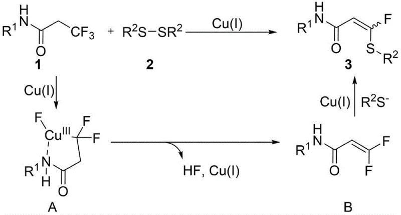 Proposed catalytic mechanism showing N-chelating intermediate and beta-H elimination steps
