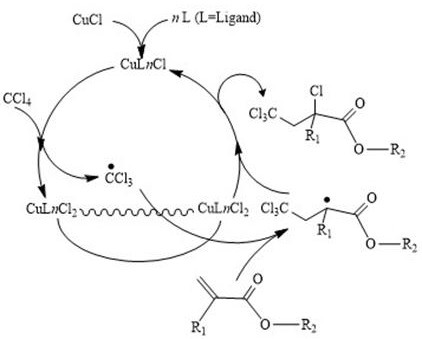Catalytic cycle mechanism diagram illustrating the copper-ligand complex mediating the radical addition