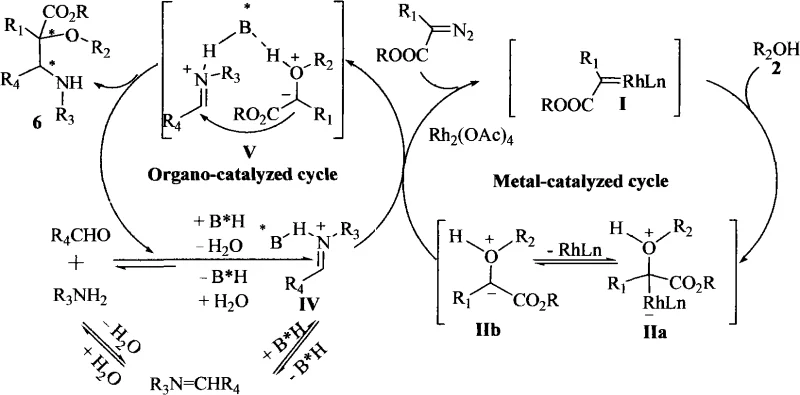 Detailed catalytic cycle showing the organo-catalyzed and metal-catalyzed pathways involving oxonium ylide intermediates
