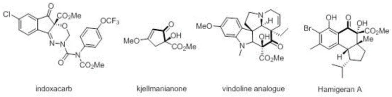Structures of bioactive molecules containing alpha-hydroxy-beta-keto ester scaffolds such as Indoxacarb and Kjellmanianone