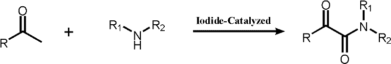 General reaction scheme for iodide-catalyzed synthesis of alpha-keto amides from methyl ketones and amines