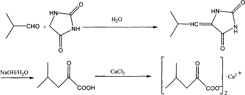 Reaction scheme showing condensation of hydantoin and isobutyraldehyde followed by hydrolysis and calcium salt formation