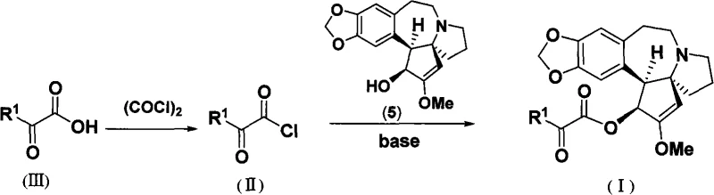 General synthetic route showing activation of alpha-keto acid to acyl chloride and subsequent esterification with Cephalotaxine