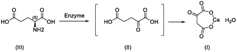 Novel enzymatic process flow from L-glutamic acid to alpha-ketoglutarate calcium