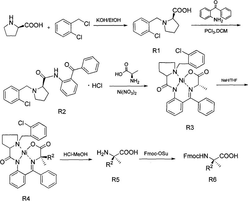 Hydrolysis of Nickel Complex and Final Fmoc Protection to S6/R6
