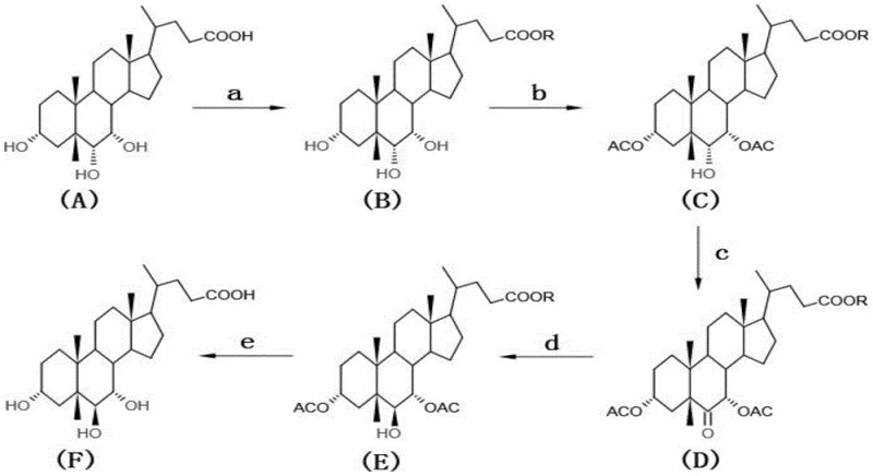 Reaction scheme showing the conversion of hyocholic acid to alpha-murine cholic acid via esterification, acetylation, oxidation, reduction, and hydrolysis
