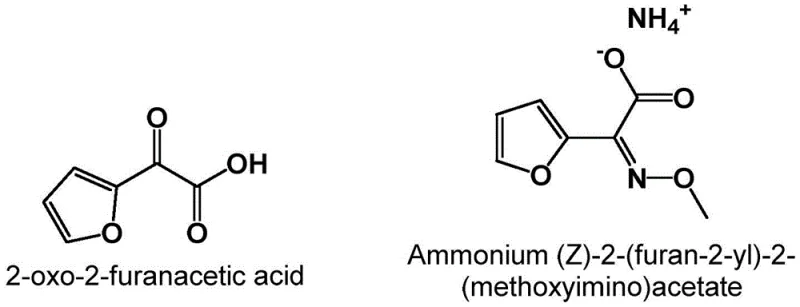 Chemical structures of 2-oxo-2-furanacetic acid and its ammonium salt derivative used in Cefuroxime synthesis