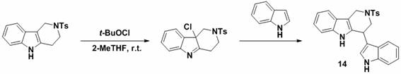 Reaction scheme for Example 14 demonstrating C-C bond formation using indole as a nucleophile