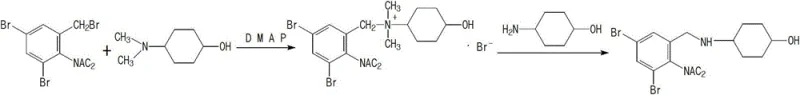 Proposed catalytic mechanism illustrating the role of DMAP and dimethylaminocyclohexanol in accelerating the substitution