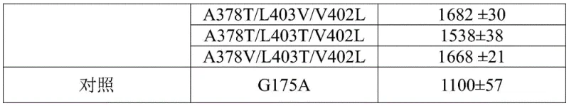 Feeding reaction progress comparison showing superior accumulation of 2-chloronicotinic acid by triple mutant A378V/V402L/L403V versus parent strain G175A
