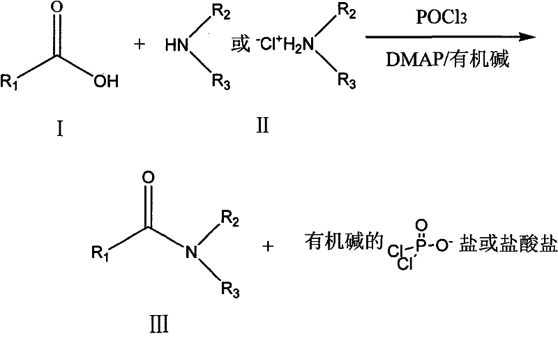 General reaction scheme for amide bond formation using POCl3 and DMAP catalyst showing carboxylic acid and amine reactants converting to amide product