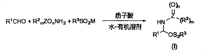 General reaction scheme for the synthesis of amide sulfone (I) via protonic acid catalysis in aqueous media