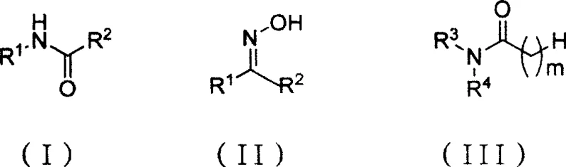 General structural formulas for amide products, ketoxime reactants, and N,N-disubstituted amides used in the synthesis