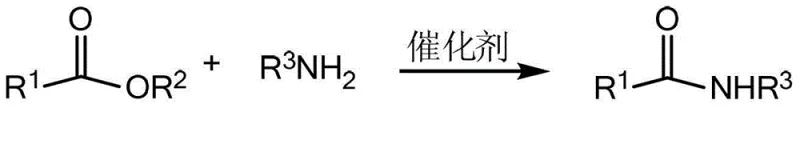 General reaction scheme showing ester and amine converting to amide using ZrOCl2 catalyst and ligand