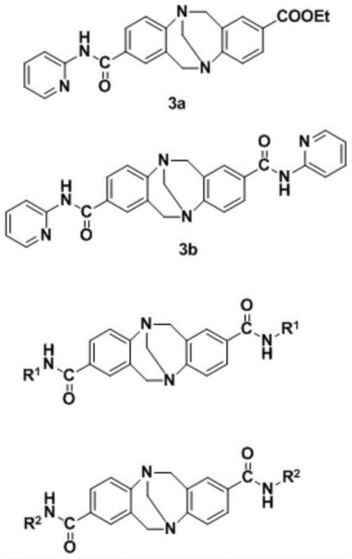 General structural formulas of Amide-Troger's base derivatives showing core scaffold variations