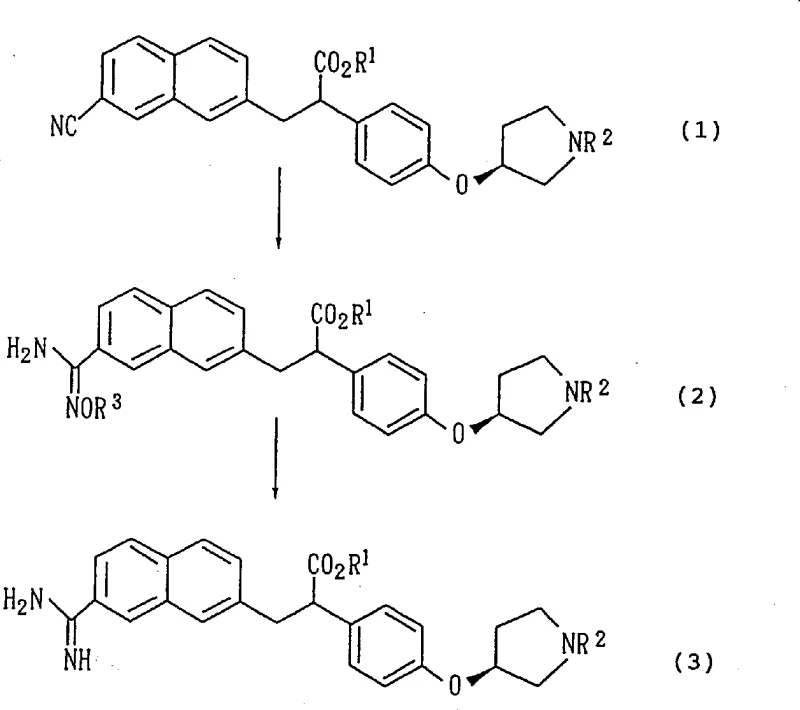General reaction scheme showing the conversion of nitrile compound (1) to amidoxime (2) and finally to amidine (3)