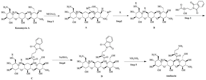 Overall reaction scheme of the novel chelation-based Amikacin synthesis