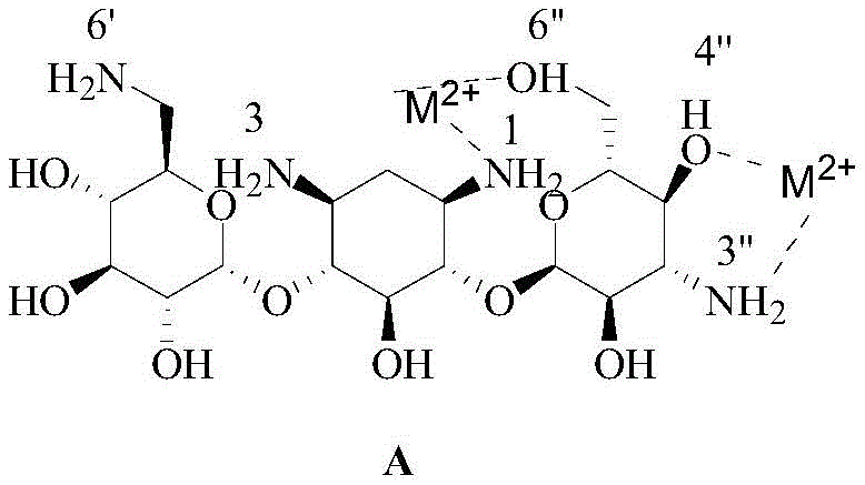 Mechanism of metal ion chelation with Kanamycin A amino and hydroxyl groups
